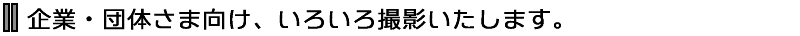 撮影料金